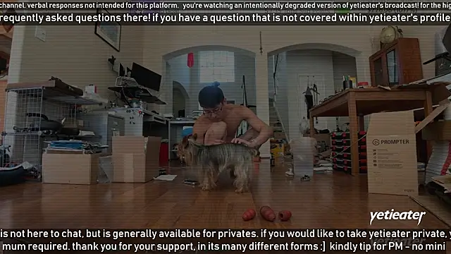 Snapshot of yetieater chatting on March 16, 2025, 5:07 pm yetieater online show from March 16, 2025, 5:07 pm