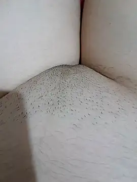 Snapshot of yakot7 chatting on October 31, 2025, 12:11 am yakot7 online show from October 31, 2025, 12:11 am