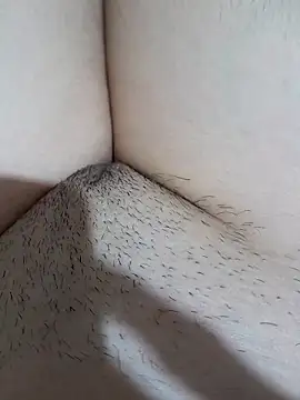 yakot7 online show from April 5, 2026, 10:40 pm