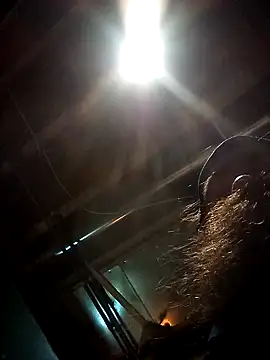 SirJonBradley online show from September 19, 2025, 10:49 am