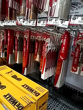 SirJonBradley online show from November 24, 2025, 10:42 pm