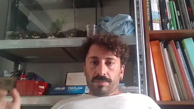 Snapshot of Febo6666 chatting on July 2, 2026, 12:11 pm Febo6666 online show from July 2, 2026, 12:11 pm
