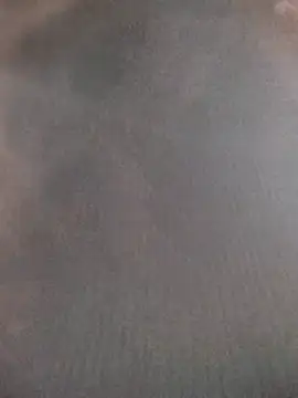 saraaxx1 online show from November 12, 2025, 10:04 am