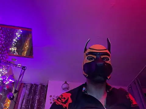 Snapshot of danix_wild_wolf chatting on December 20, 2025, 4:30 am danix wild wolf online show from December 20, 2025, 4:30 am