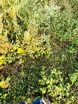 himvilohi08 online show from December 4, 2025, 2:43 am