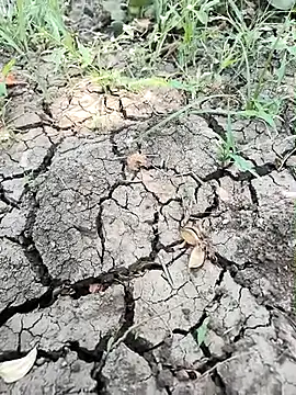 himvilohi08 online show from April 1, 2026, 5:08 am