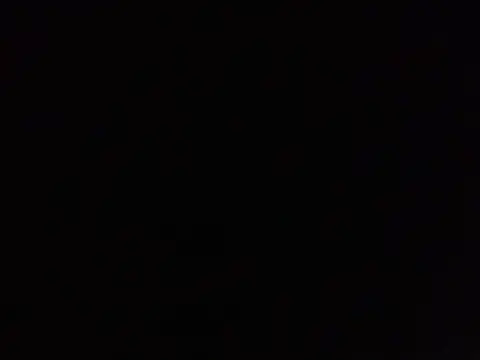 SavagesGN online show from February 3, 2026, 8:58 pm