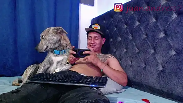 Stone grey1  online show from February 17, 2026, 3:58 am