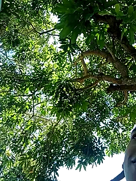 perversumm online show from September 21, 2025, 4:19 pm