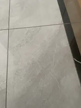 nole china7 online show from February 5, 2026, 12:15 am