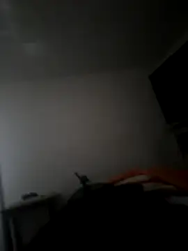 danielitowa online show from November 20, 2025, 2:06 pm