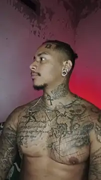 David tatto1 online show from February 5, 2026, 3:44 am