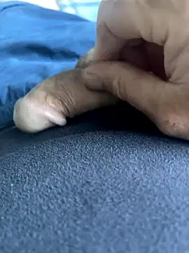 BobKat online show from October 5, 2025, 7:50 am