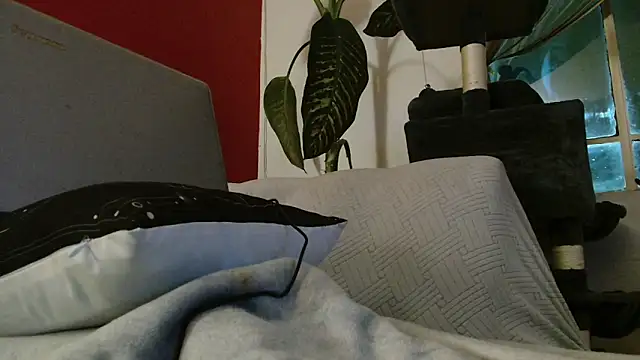 Snapshot of Tulindabonny chatting on March 6, 2026, 5:04 am Tulindabonny online show from March 6, 2026, 5:04 am