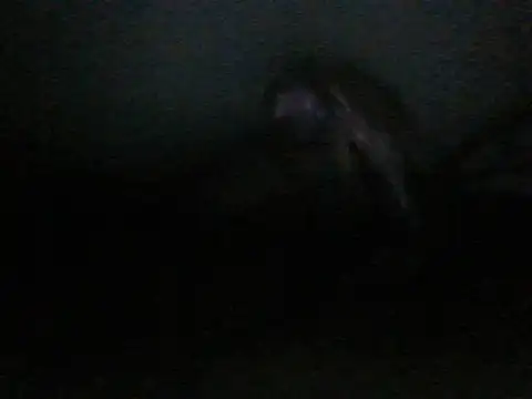 Snapshot of itachi_thebro1 chatting on June 10, 2026, 4:12 am itachi thebro1 online show from June 10, 2026, 4:12 am
