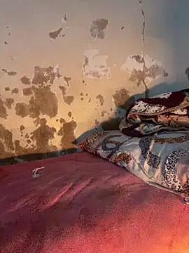 Snapshot of ParousFlow chatting on March 14, 2026, 1:23 am ParousFlow online show from March 14, 2026, 1:23 am