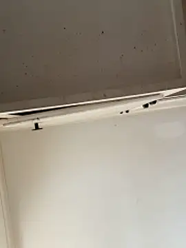 Snapshot of curis4270panda chatting on February 15, 2026, 7:54 pm curis4270panda online show from February 15, 2026, 7:54 pm