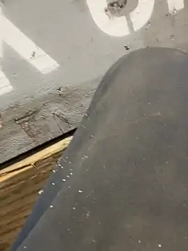 Snapshot of curis4270panda chatting on February 16, 2026, 8:05 pm curis4270panda online show from February 16, 2026, 8:05 pm