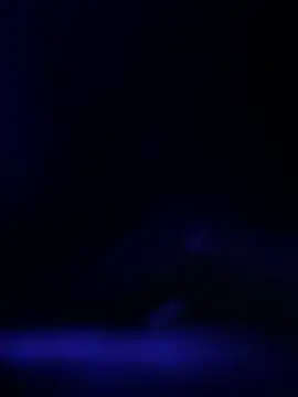 Snapshot of curis4270panda chatting on February 19, 2026, 11:39 am curis4270panda online show from February 19, 2026, 11:39 am