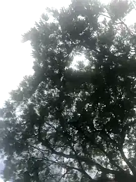 Snapshot of BryanaSmith21 chatting on September 19, 2025, 12:28 pm BryanaSmith21 online show from September 19, 2025, 12:28 pm