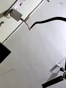 papukurty online show from October 7, 2025, 3:14 am