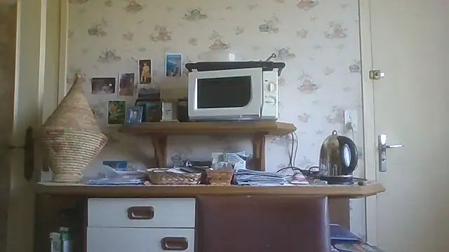 Snapshot of gegevincent chatting on June 14, 2026, 10:28 am gegevincent online show from June 14, 2026, 10:28 am