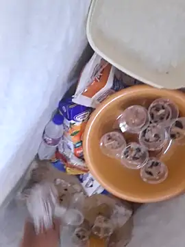 GRUESO-CURVO online show from April 14, 2026, 2:12 pm