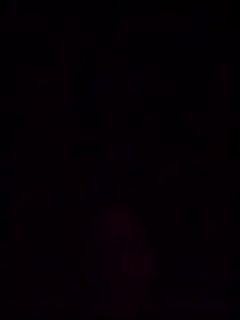 helldonk online show from March 23, 2026, 8:07 am