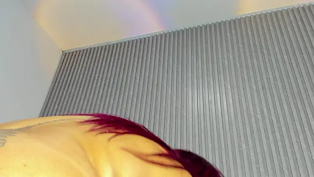 DAFNECOX online show from October 11, 2025, 3:10 pm