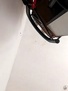 Snapshot of leon8013A chatting on November 14, 2025, 5:55 pm leon8013A online show from November 14, 2025, 5:55 pm