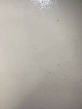 Issa Santana online show from February 21, 2026, 7:15 pm