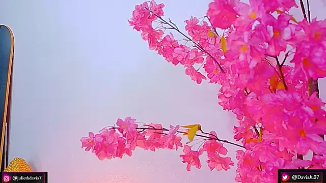 Snapshot of JulietaDavis chatting on May 18, 2026, 9:37 am JulietaDavis online show from May 18, 2026, 9:37 am