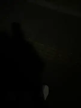 Snapshot of SL_NIKI_PUBLIC chatting on December 22, 2025, 11:07 am SL NIKI PUBLIC online show from December 22, 2025, 11:07 am