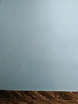 Snapshot of tight_pussy57 chatting on November 15, 2025, 5:16 am tight pussy57 online show from November 15, 2025, 5:16 am