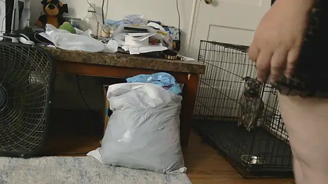 Babygrldes online show from April 24, 2026, 2:03 am