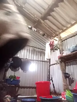 Snapshot of jienrrr chatting on December 17, 2025, 12:16 am jienrrr online show from December 17, 2025, 12:16 am