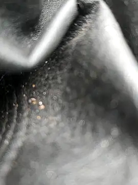 Snapshot of legaros chatting on October 19, 2025, 8:04 am legaros online show from October 19, 2025, 8:04 am