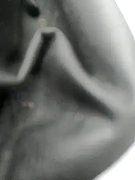 Snapshot of legaros chatting on October 20, 2025, 3:12 pm legaros online show from October 20, 2025, 3:12 pm