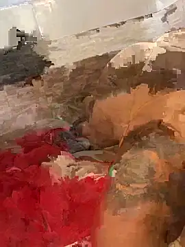 Snapshot of morenaluaa chatting on October 22, 2025, 4:40 pm morenaluaa online show from October 22, 2025, 4:40 pm