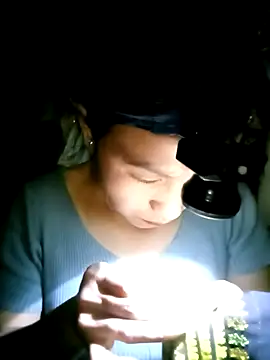 nasy lady online show from October 12, 2025, 12:37 pm