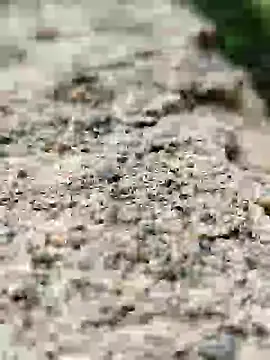 Girls pussy rider online show from September 14, 2025, 1:49 am