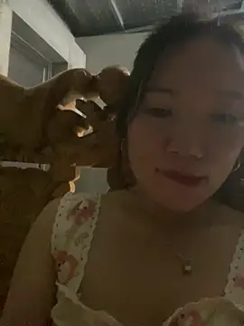 tttan1 online show from August 8, 2026, 3:36 pm