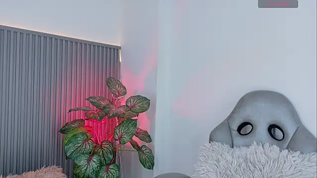 Celeste Presstigge online show from February 27, 2026, 11:38 pm