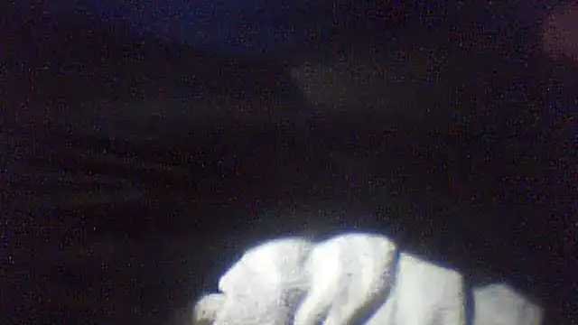 pietje1991 online show from February 10, 2026, 1:10 am