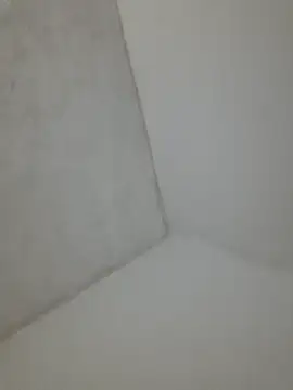 velozte5678 online show from March 25, 2026, 7:03 am