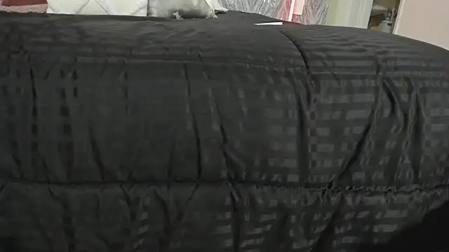 MartinaRizzi online show from February 21, 2026, 8:43 pm