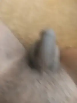 King Raj99 online show from October 18, 2025, 10:49 am