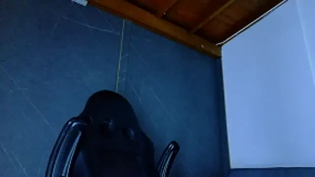 Snapshot of ALANNFERRER chatting on February 25, 2026, 10:25 am ALANNFERRER online show from February 25, 2026, 10:25 am