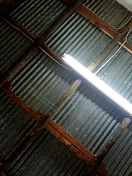 Fizozoo online show from September 21, 2025, 4:58 am