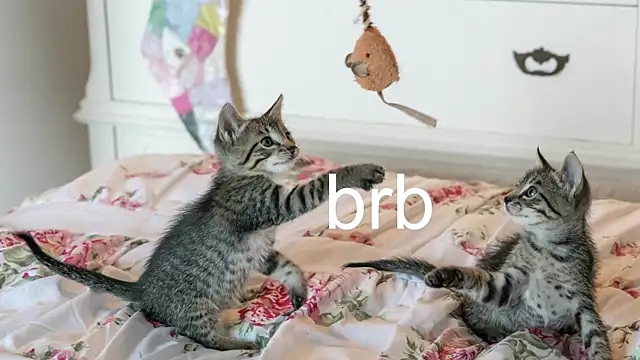 Pink girl0n online show from November 17, 2025, 7:08 pm